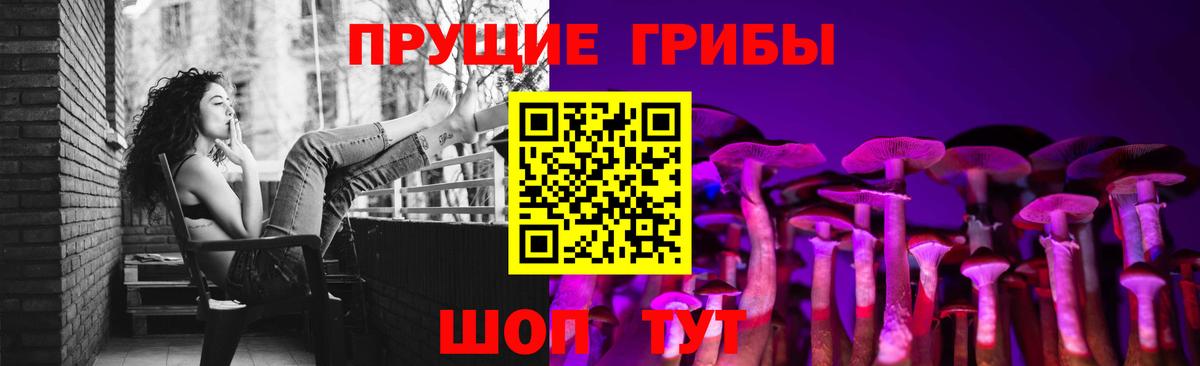 Псилоцибиновые грибы прущие грибы Вятские Поляны